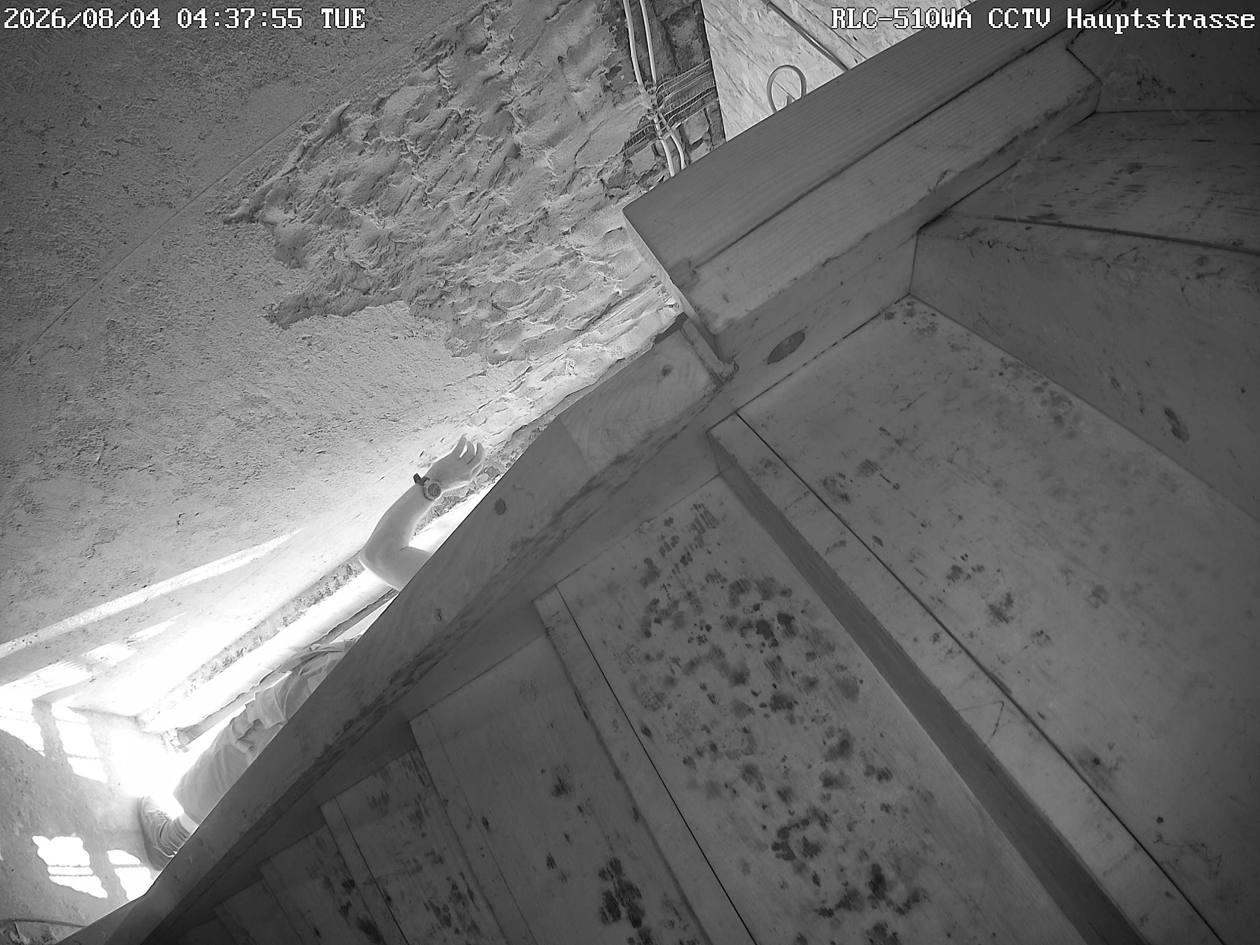 RLC-510WA CCTV Hauptstrasse_00_20260804043755.jpg